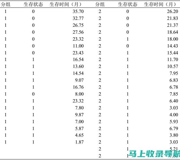 站长生存指南：如何在激烈竞争中找到最佳盈利路径