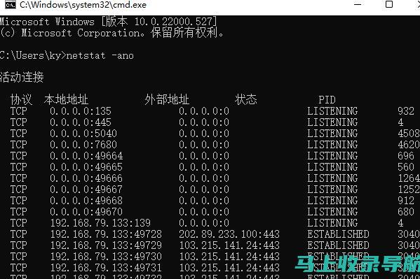 掌握端口查询站长工具，提升网站管理与维护的效率