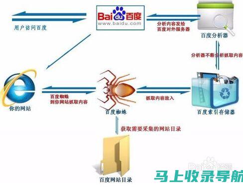 SEO基础知识详解：新手不可忽视的学习要点