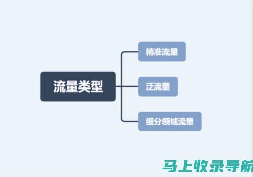 获取精准流量分析：如何高效下载与安装站长统计软件