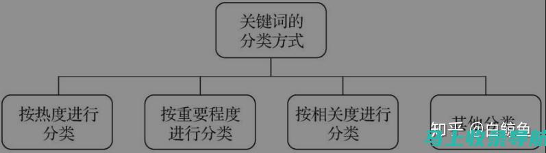 SEO关键解码书籍：开启网站流量增长的全新视角