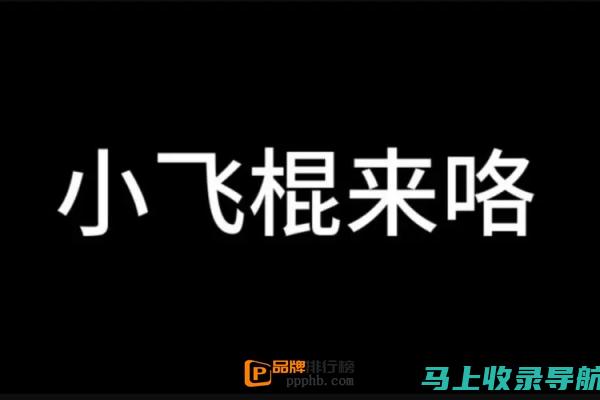 飞扬小马哥站长申论的师资力量与教学风格深度探讨