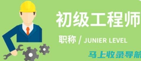 从初级到高级：站长在网站运营中的管理职能演变