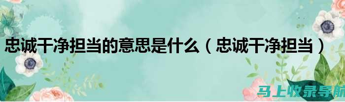 忠诚测试的背后，站长如何维护团队的和谐与稳定