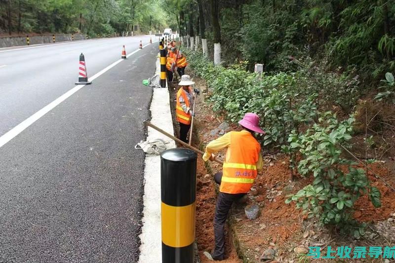 沿着工作道路前行：站长在工作中的精彩瞬间记录