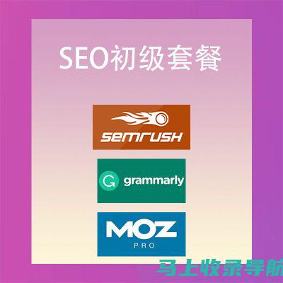 海外SEO课程的实用工具与资源：助力你成为行业专家