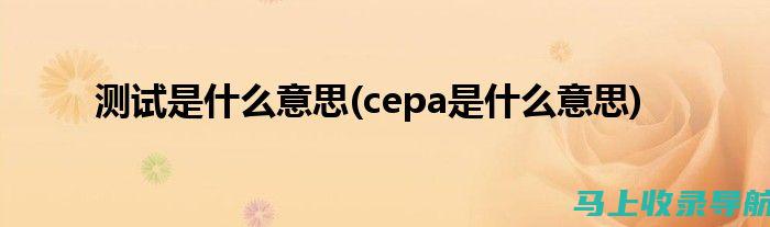 掌握separate的读音：名词用法与发音解析