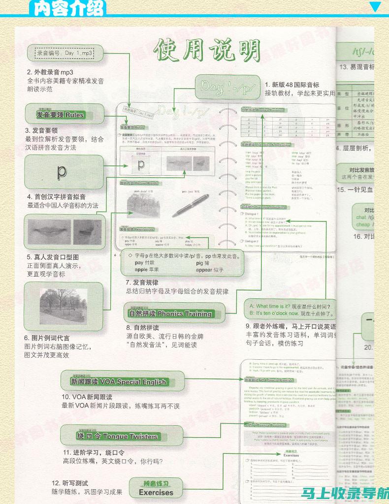 零基础入门：站长赚钱的副业项目推荐与实践指南