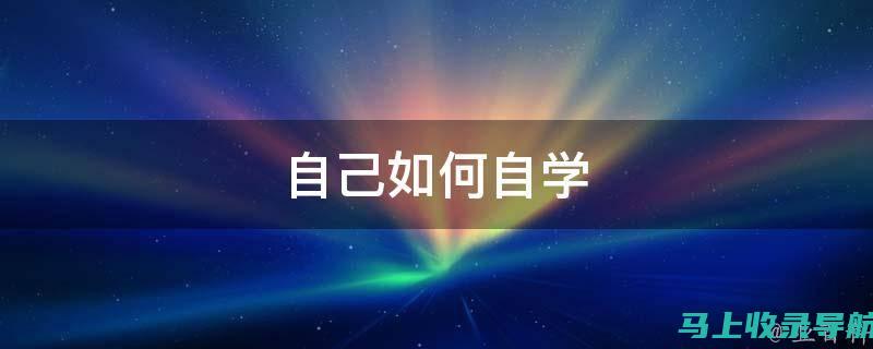 探索自学SEO的无限可能：助你事业迈向新高峰