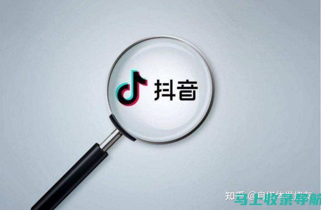 掌握抖音短视频SEO搜索排名优化：新手快速入门的关键技巧与策略