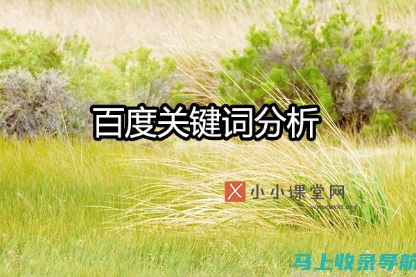 从关键词研究到内容发布：构建高效SEO博客的全流程