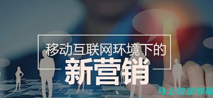 走进SEO行业：面试技巧与经验分享的实用性深入探讨