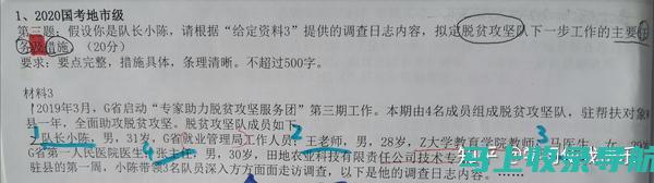 当站长申论成为一个陷阱：我的经历与教训分享