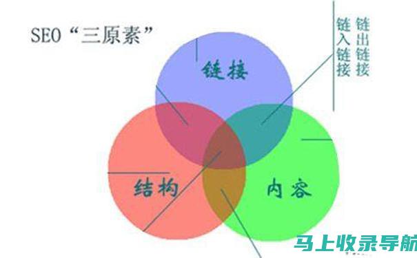 海外SEO学习的重要性：为什么你的业务需要全球搜索优化