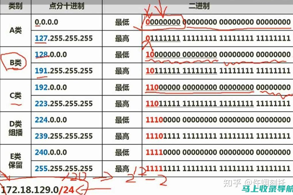 网络站点编号的定义及其在数字化的关键作用