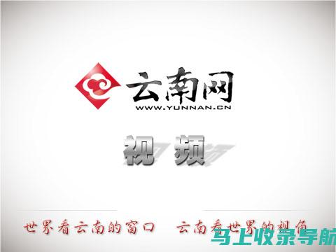 为什么在使用站长工具进行SEO综合查询时会看到英文界面？