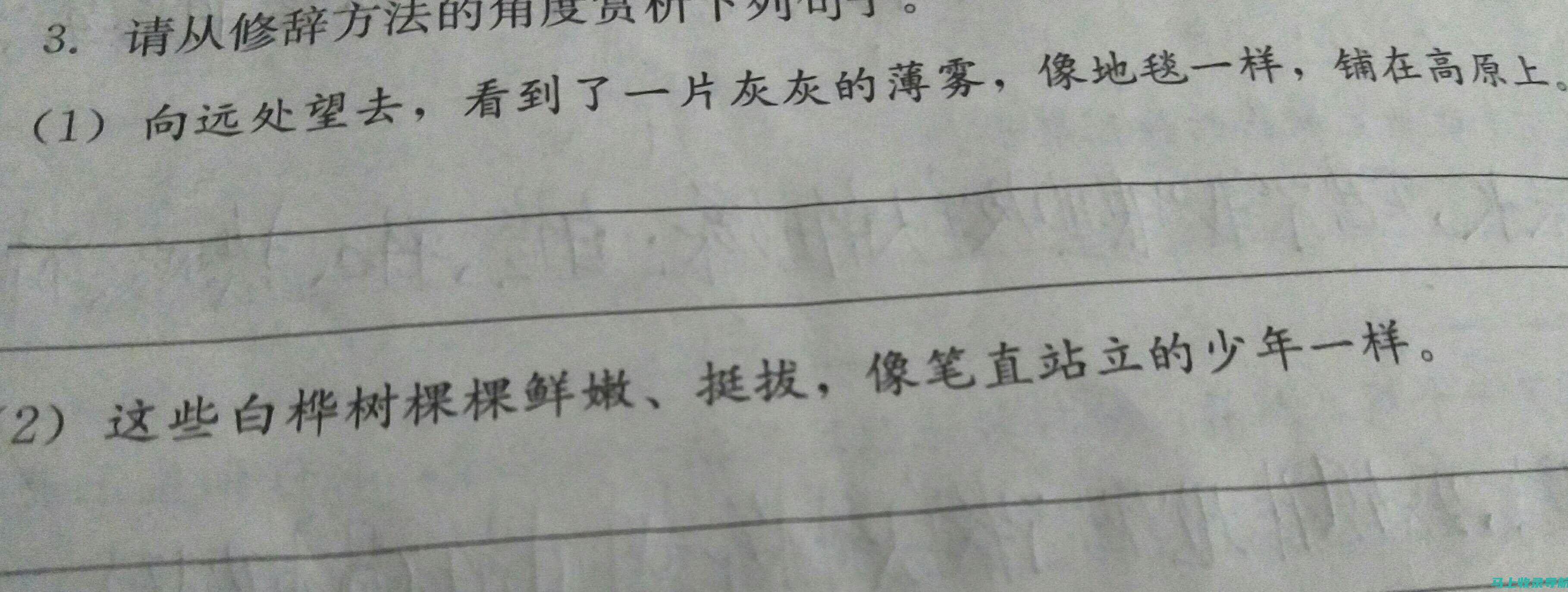 从语法角度解析：使用separately与respectively时应注意的事项