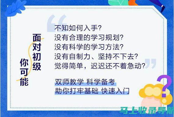 新手必看：如何开始进行有效的SEO搜索引擎优化