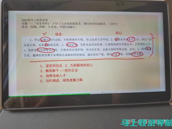 揭示其在SEO和网站优化中的作用