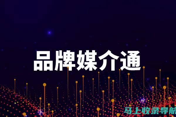 精通SEO的秘密：基础知识与进阶技巧的完美结合