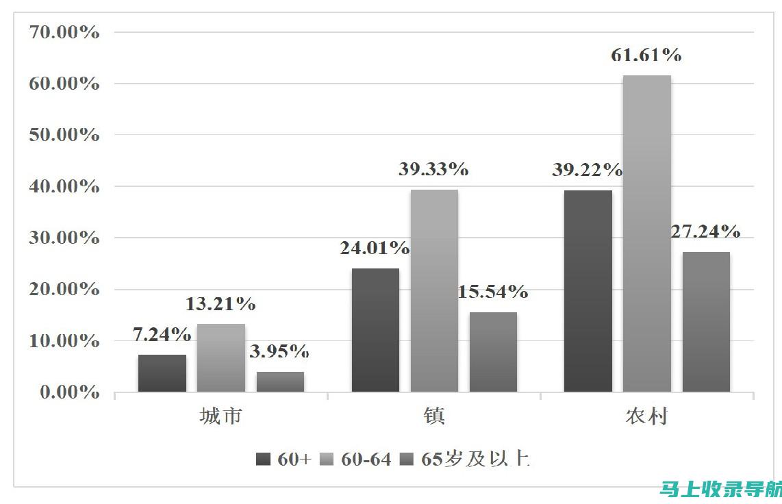 分析乡镇统计站长在政府决策支持中的重要职责与任务