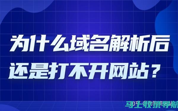 网站域名解析：提供真实信息的有效工具指南