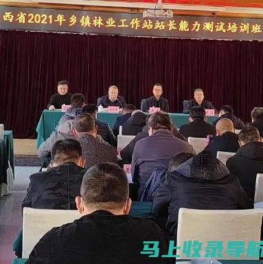 乡镇林业站站长的工作成效与地方政府的支持政策关系