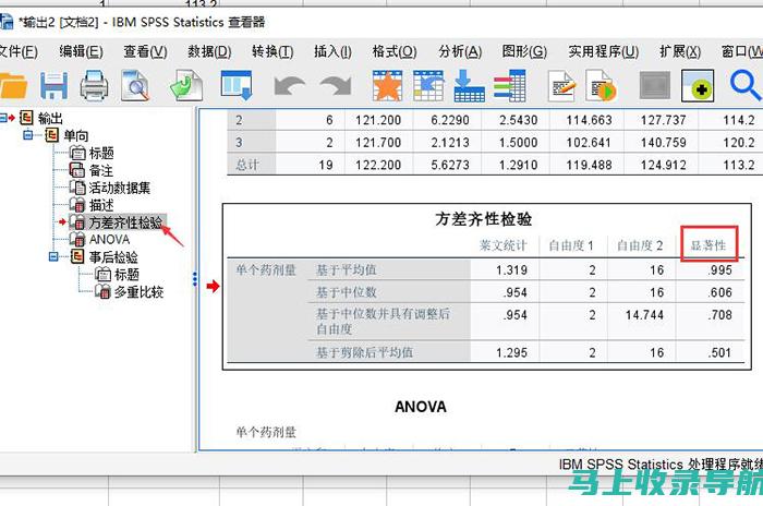 全方位分析SEO综合查询与指数优化的趋势与未来发展方向