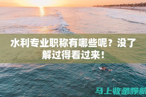 水利站站长编制的多个维度分析：管理、技术与政策综合考量