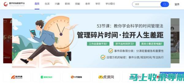 全面了解网站站长：从注册信息到网络足迹