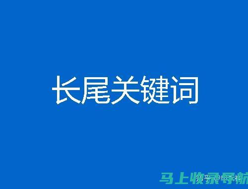 掌握长尾关键词在SEO优化中的作用：实用举例助你提升流量