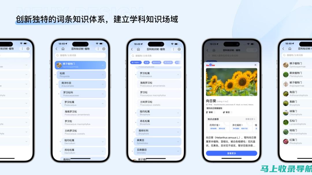 全面了解百度SEO优化推广费用：不同企业类型的定制化方案