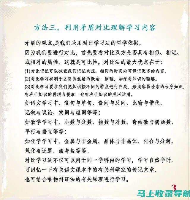 学习如何通过优化域名来增强SEO效果的全面指南