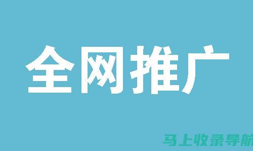 走进SEO推广公司，了解他们如何提升客户网站流量