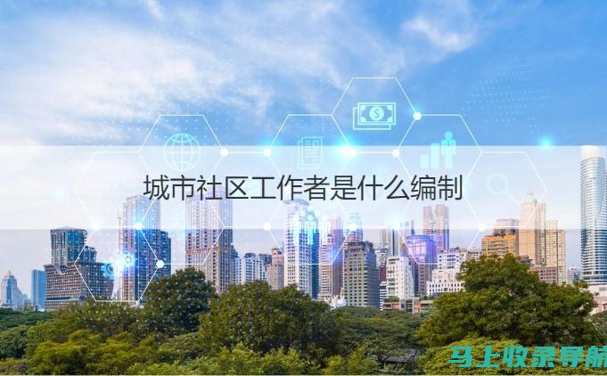 社区工作站长的工作成就分享：案例分析与经验总结