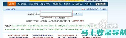 关于站长工具输入域名错误的全面指南，助你个性化优化策略
