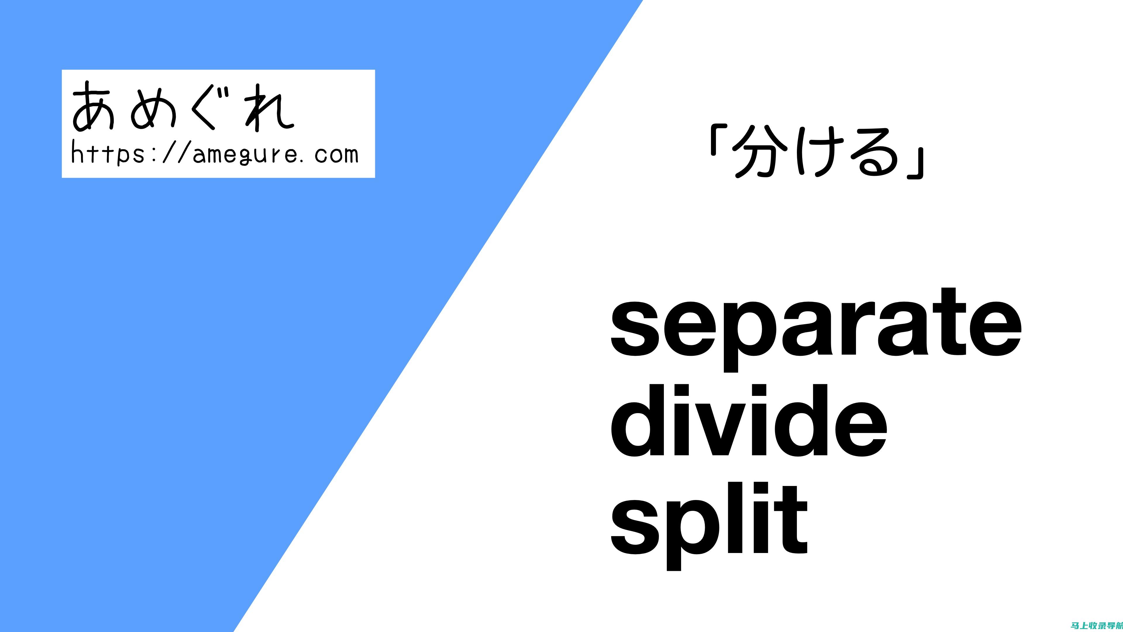 Separately的形容词用法与同义词比较分析：如何选择最合适的词汇