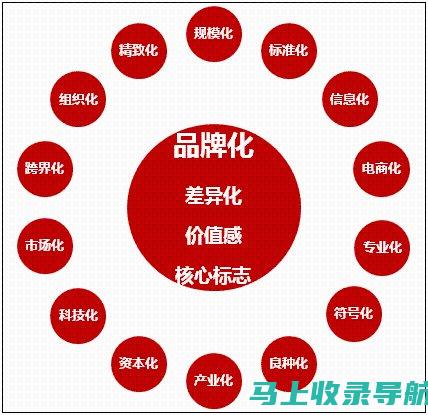 提升个人品牌在抖音的影响力：帝搜软件的实用技巧分享