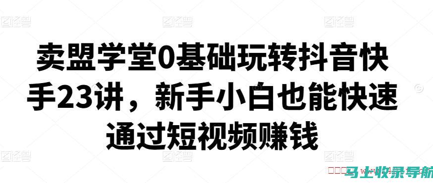 小白也能快速上手的SEO综合查询官网使用技巧