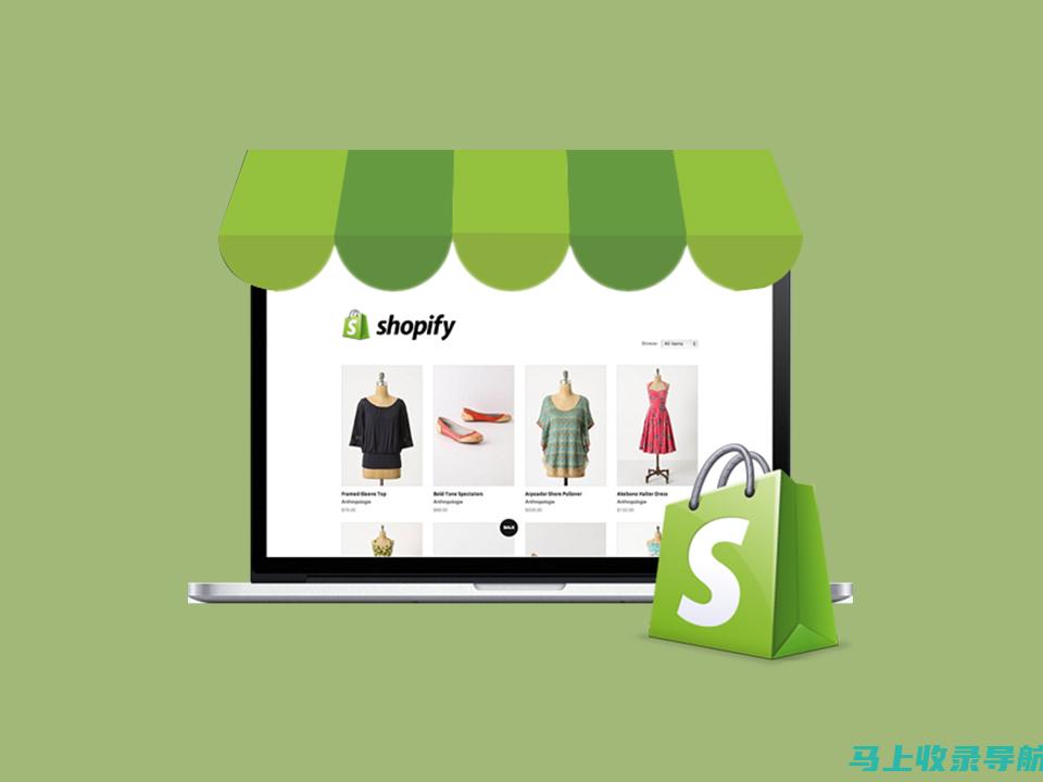 Shopify SEO实战教学：让搜索引擎爱上你的商店