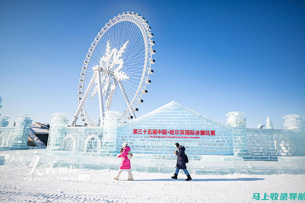 针对哈尔滨市场的抖音SEO搜索引擎优化课程，助你成就网红