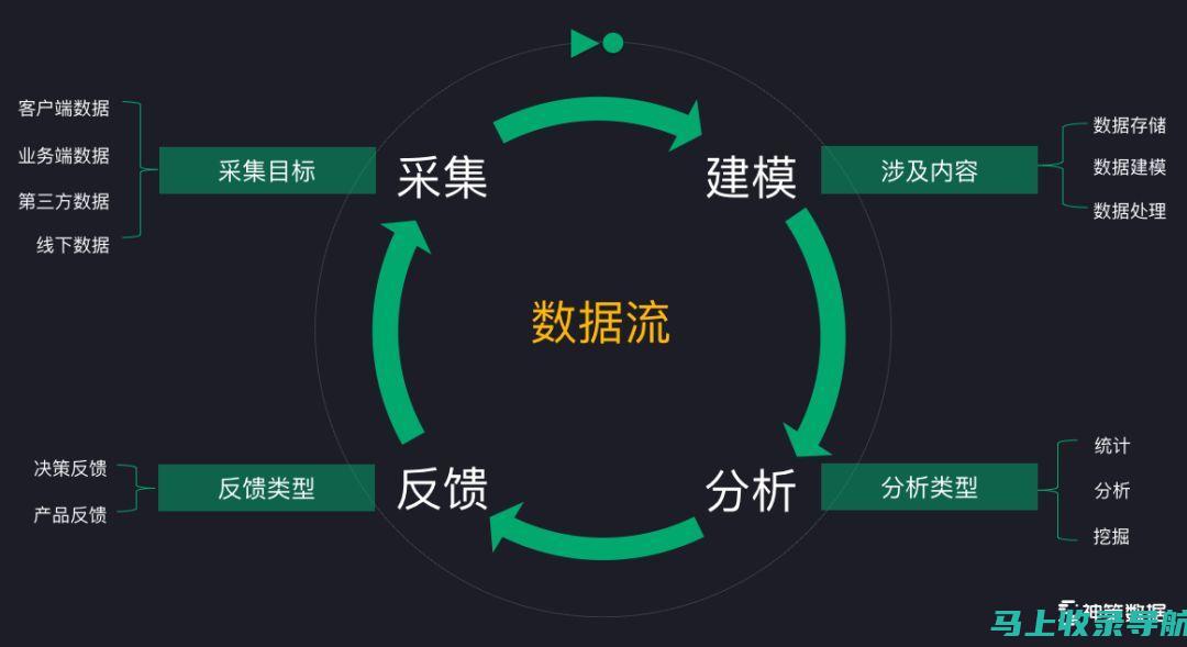 数据驱动的决策：如何通过SEO排名优化软件进行有效分析