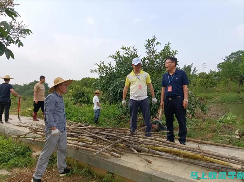 如何避免在江苏省自考成绩查询中遇到的常见错误