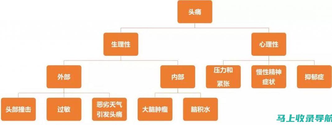 分析ntce中小学教师资格考试网的热门学习资源与资料