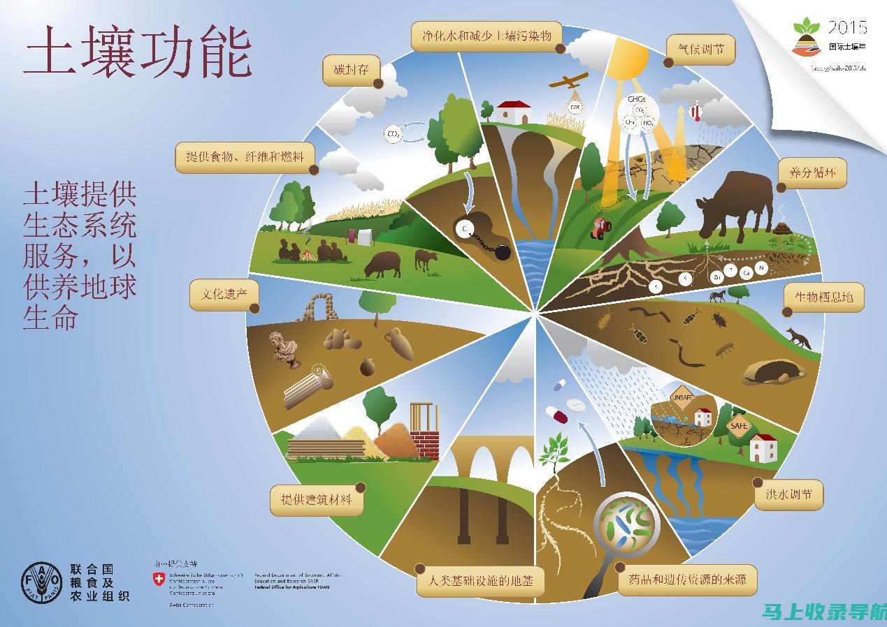 哪些因素影响2021年教师资格证成绩查询时间？深度分析