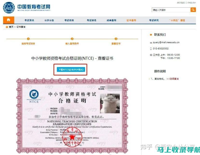 教资查询流程解析：新手教师如何准确查询自己的教师资格信息
