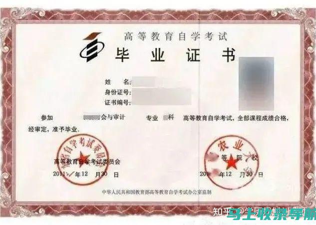 自考查询与成绩分析：如何判断自己的学习效果