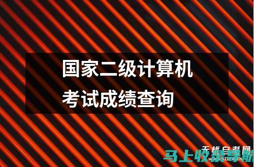 二级考试成绩查询系统的使用指南：避免常见错误