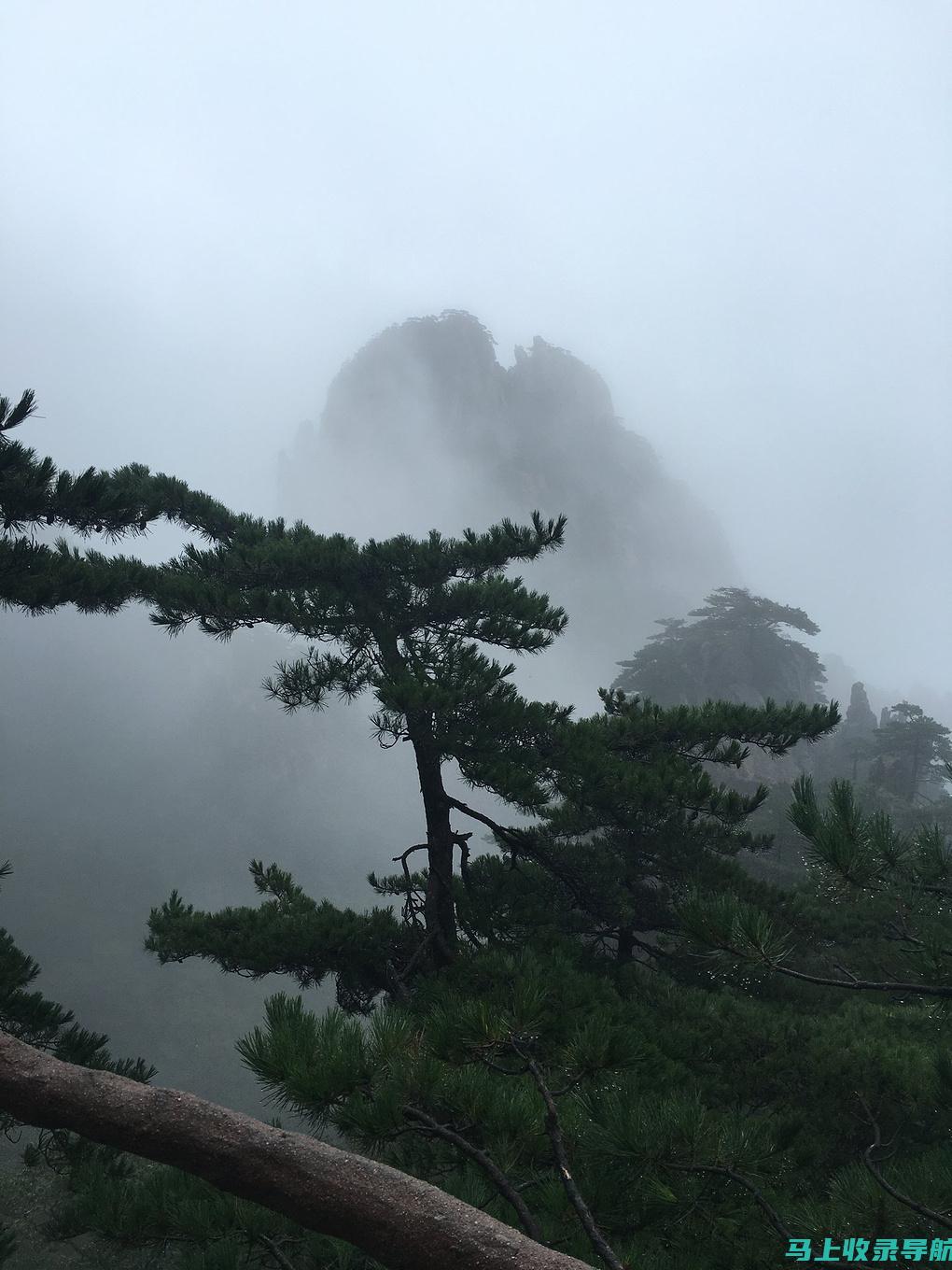 如何利用黄山人事考试网提升个人职业竞争力