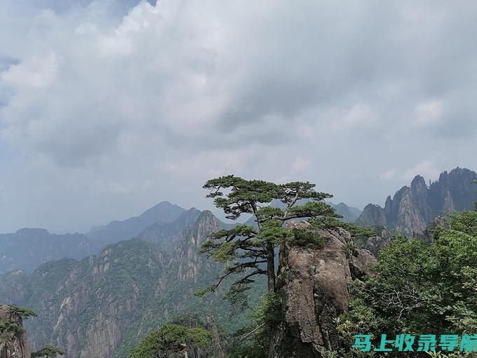 深入分析黄山人事考试网的功能与优势，提升就业率